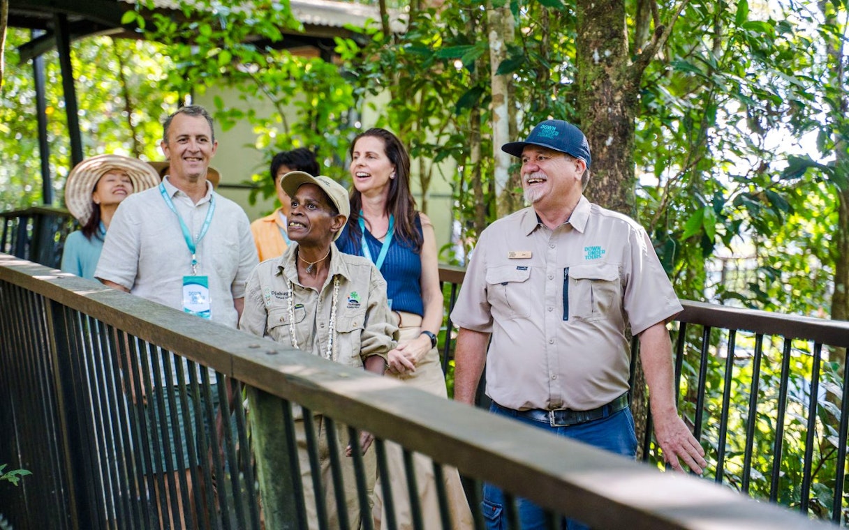 waterfall, wetlands and skyrail-7