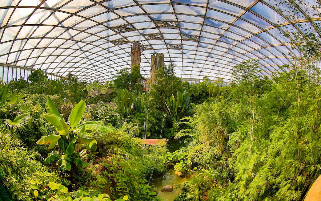 Rainforest exhibit with lush greenery and canopy at Zoo Leipzig.