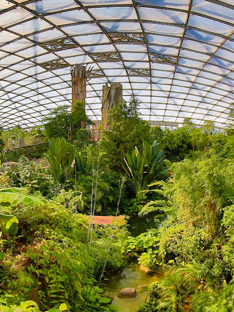 Rainforest exhibit with lush greenery and canopy at Zoo Leipzig.