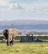 Ochtendsafari