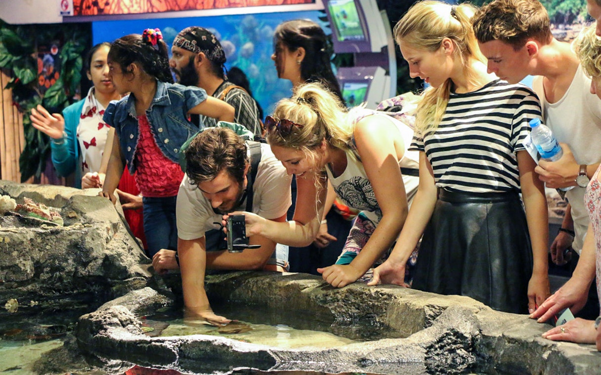 Visitors interacting with marine life at Aquaria KLCC, Kuala Lumpur.