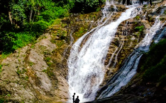from kuala lumpur: private cameron highlands tour-1