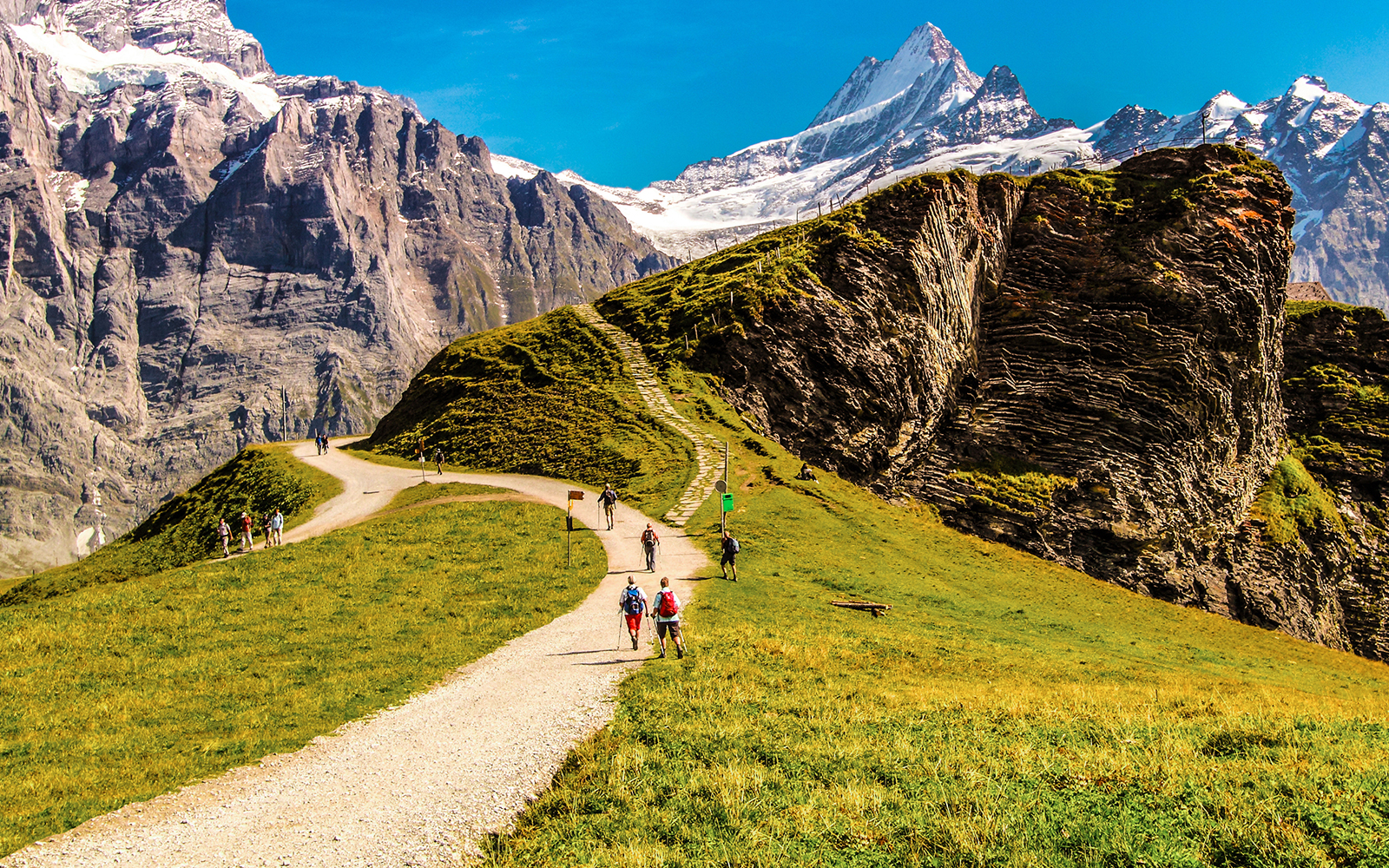 People Hiking in Grindelwald - July