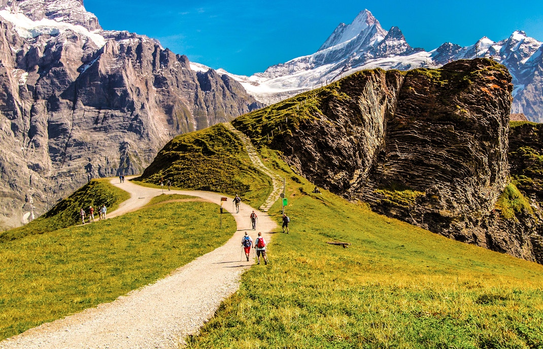 Hiking- Grindelwald First