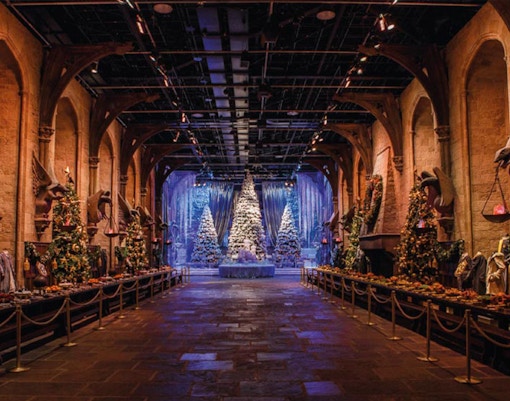 Forbidden forest scene on Harry Potter London tour with towering trees and mystical atmosphere.