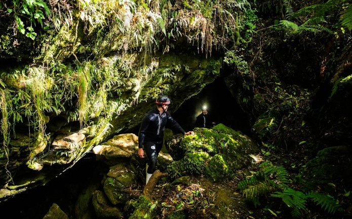 Explorers entering Okohua Glowworm Cave, surrounded by lush greenery, during the Waitomo Experience tour.