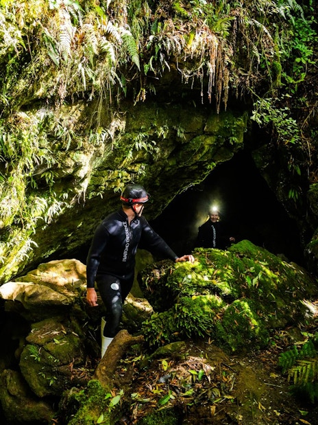 Explorers entering Okohua Glowworm Cave, surrounded by lush greenery, during the Waitomo Experience tour.