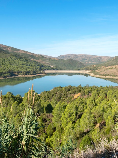 Scenic view of Lac du Barrage Sed Nakhla dam surrounded by lush hills in Zinat, Morocco.