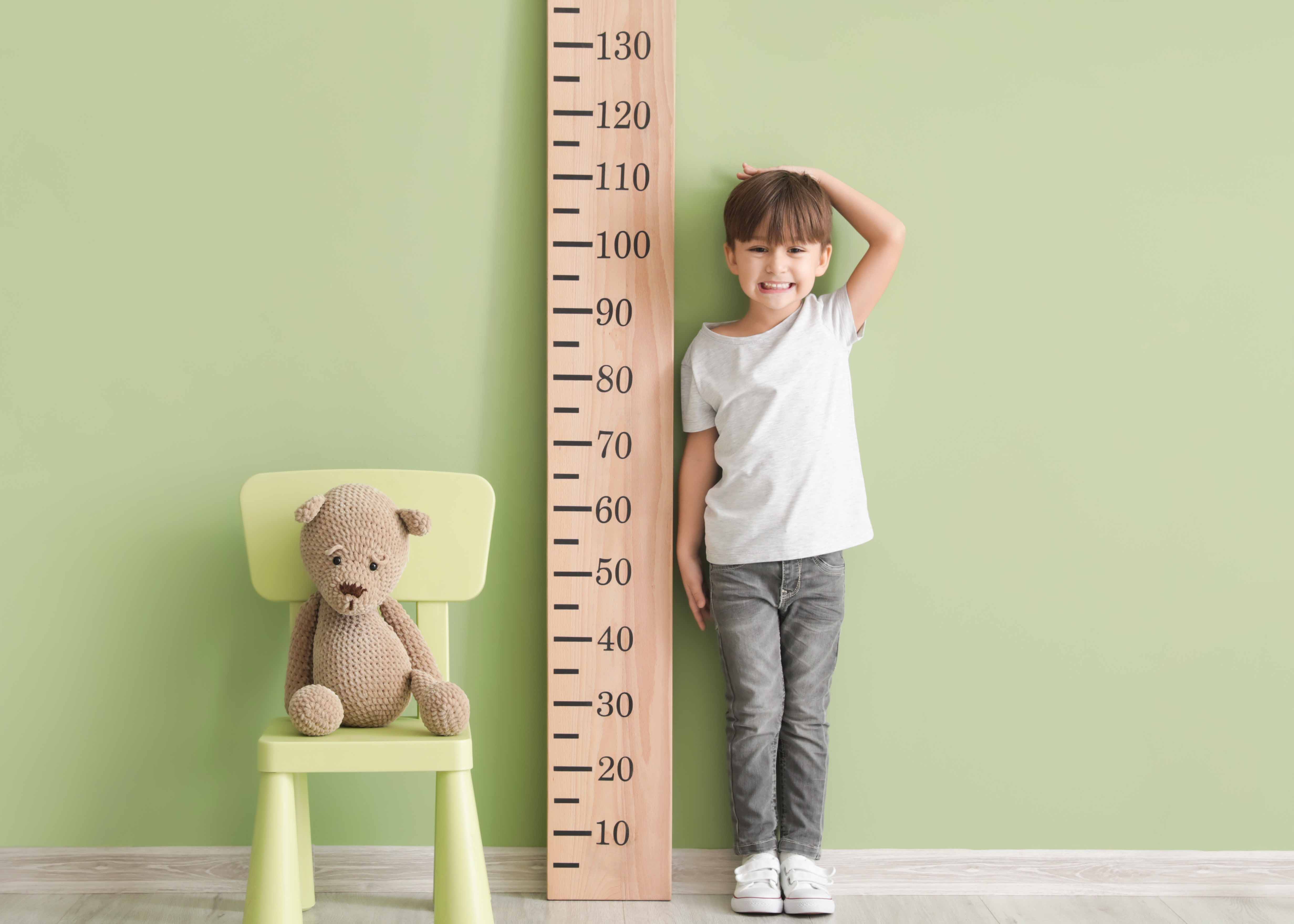 Gatorland Rules and Regulations