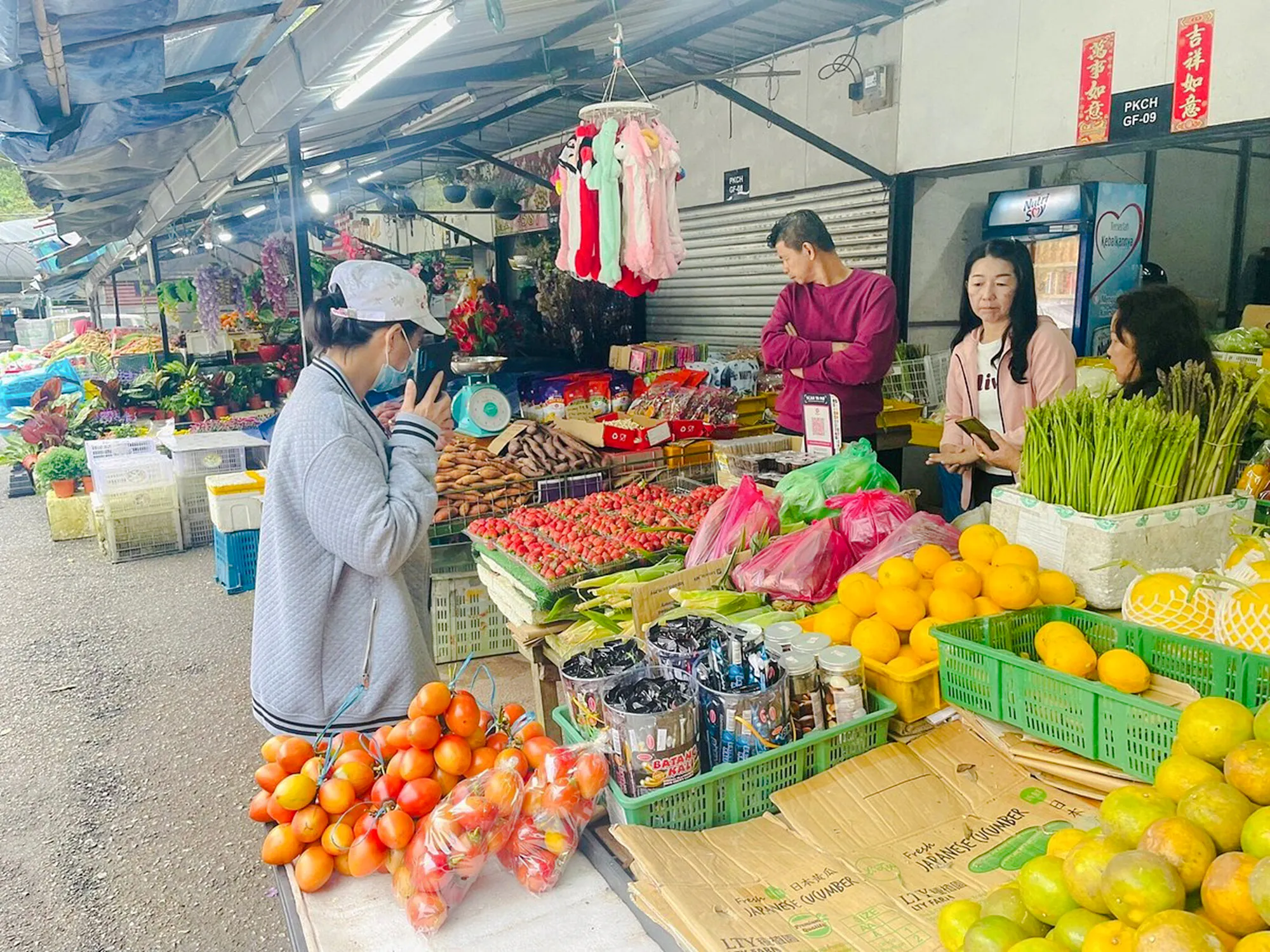 from kuala lumpur: private cameron highlands tour-11