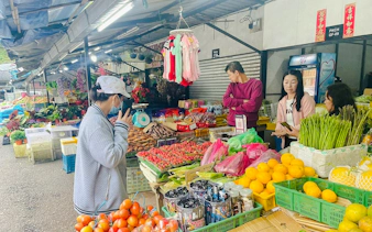 from kuala lumpur: private cameron highlands tour-11