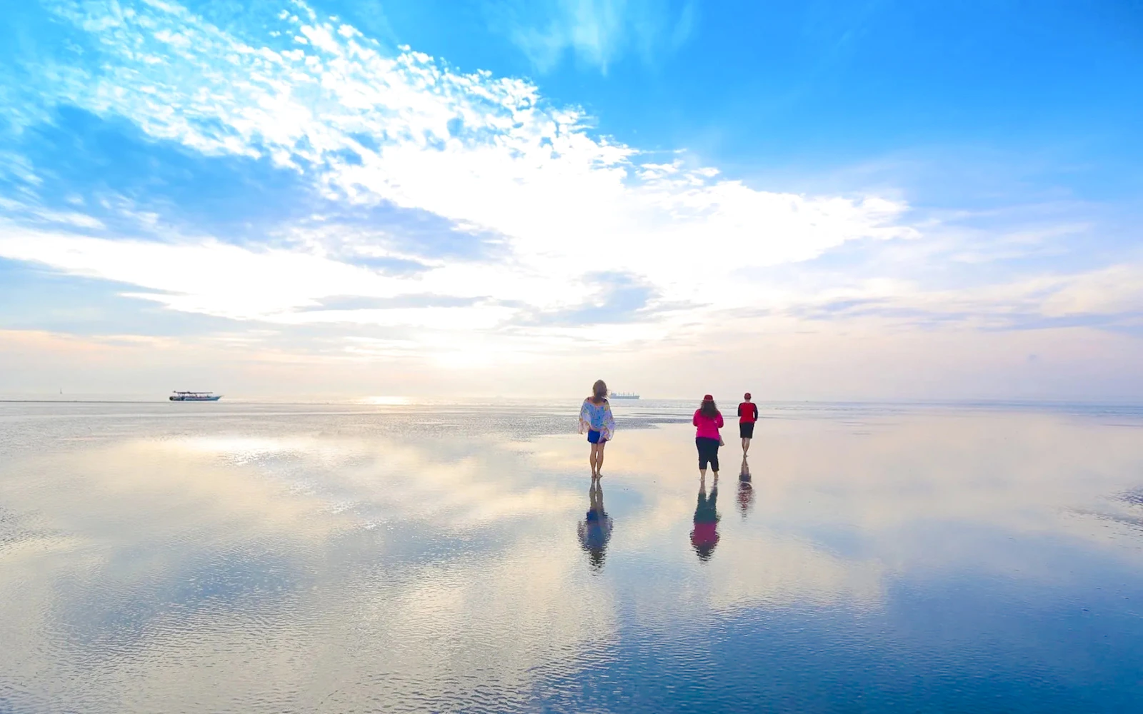 Kuala Selangor: Sky Mirror & Sekinchan Rice Fields Tour With Transfers Image 5