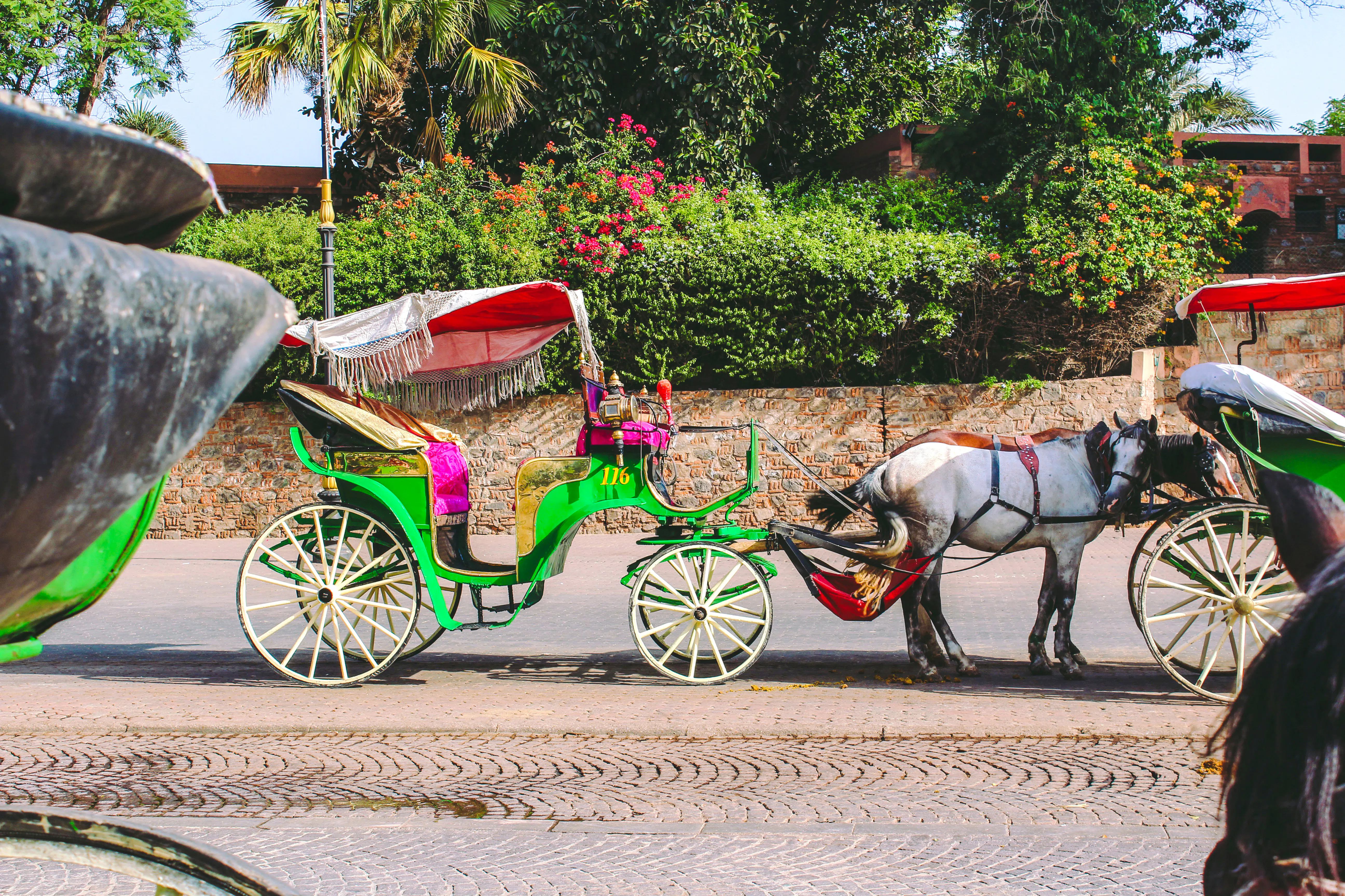 Horse-drawn carriage in Marrakesh with colorful canopy, set against lush greenery.