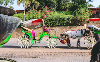Horse-drawn carriage in Marrakesh with colorful canopy, set against lush greenery.