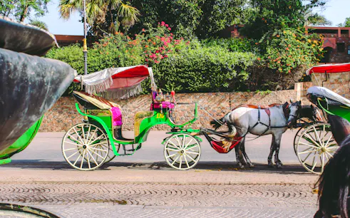 Horse-drawn carriage in Marrakesh with colorful canopy, set against lush greenery.