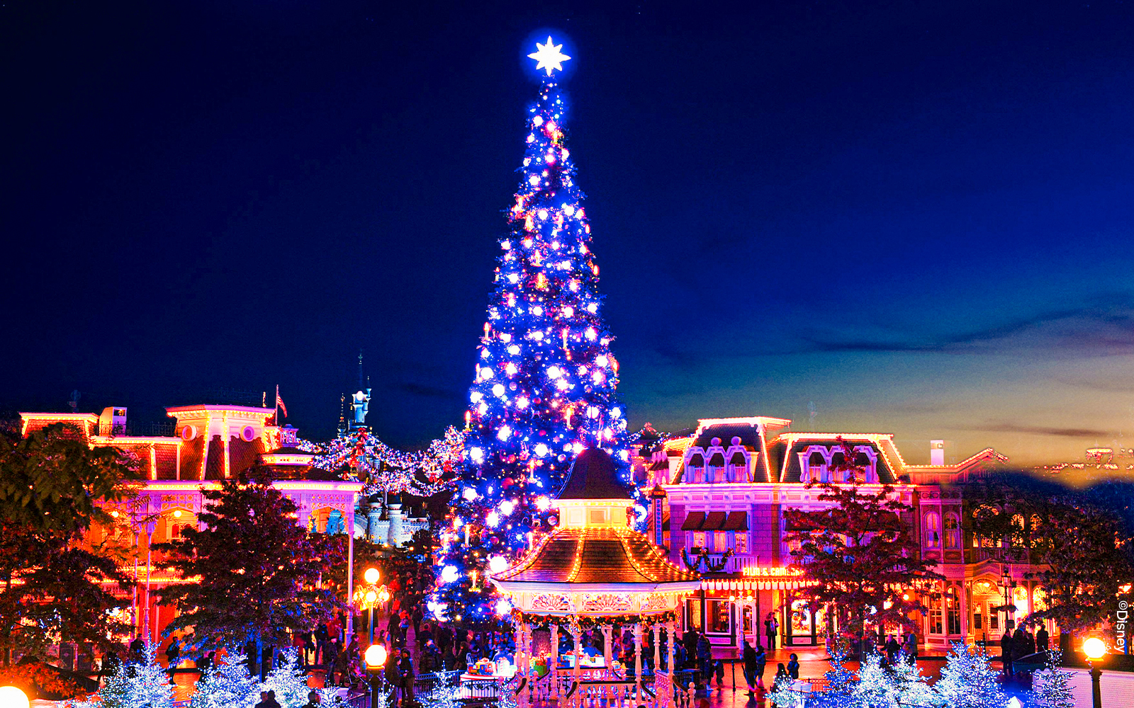 Disneyland Paris - Magical Christmas Tree