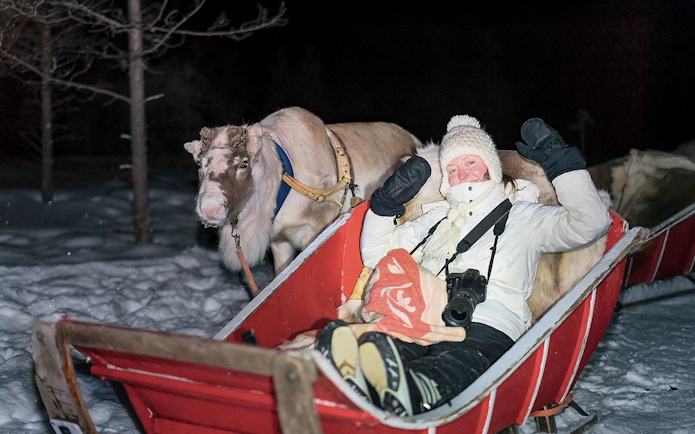 Person in sleigh with reindeer during night ride in snowy Rovaniemi forest.