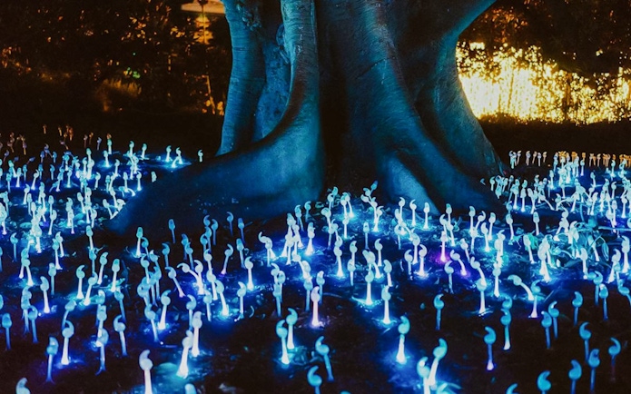 Illuminated art installation at Vivid Sydney festival with glowing blue lights around a tree.