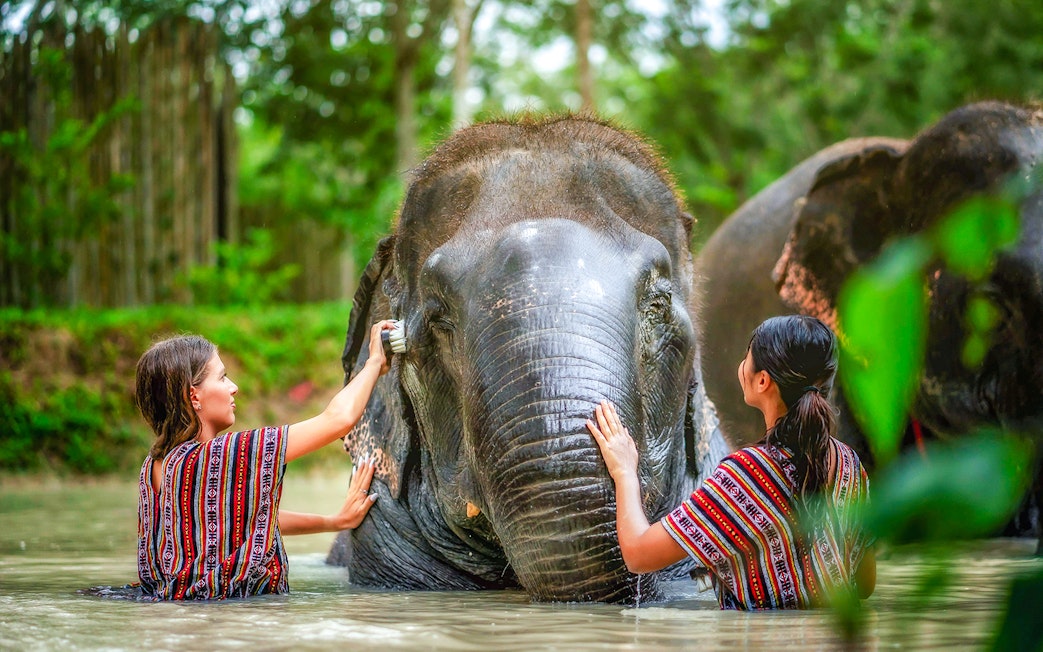 Women bathing an elephant at Elephant Jungle Sanctuary, Phuket, Thailand.