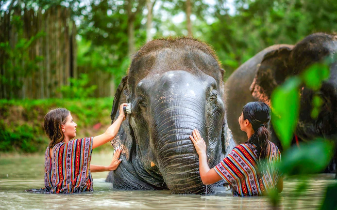 Women bathing an elephant at Elephant Jungle Sanctuary, Phuket, Thailand.