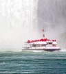 Hornblower Cruise