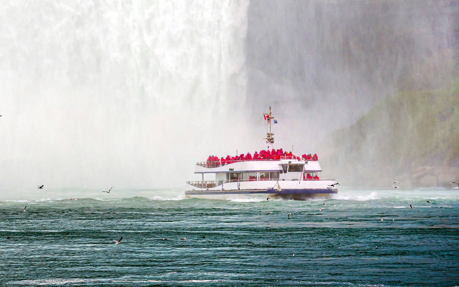 Cruceros Hornblower del Niágara