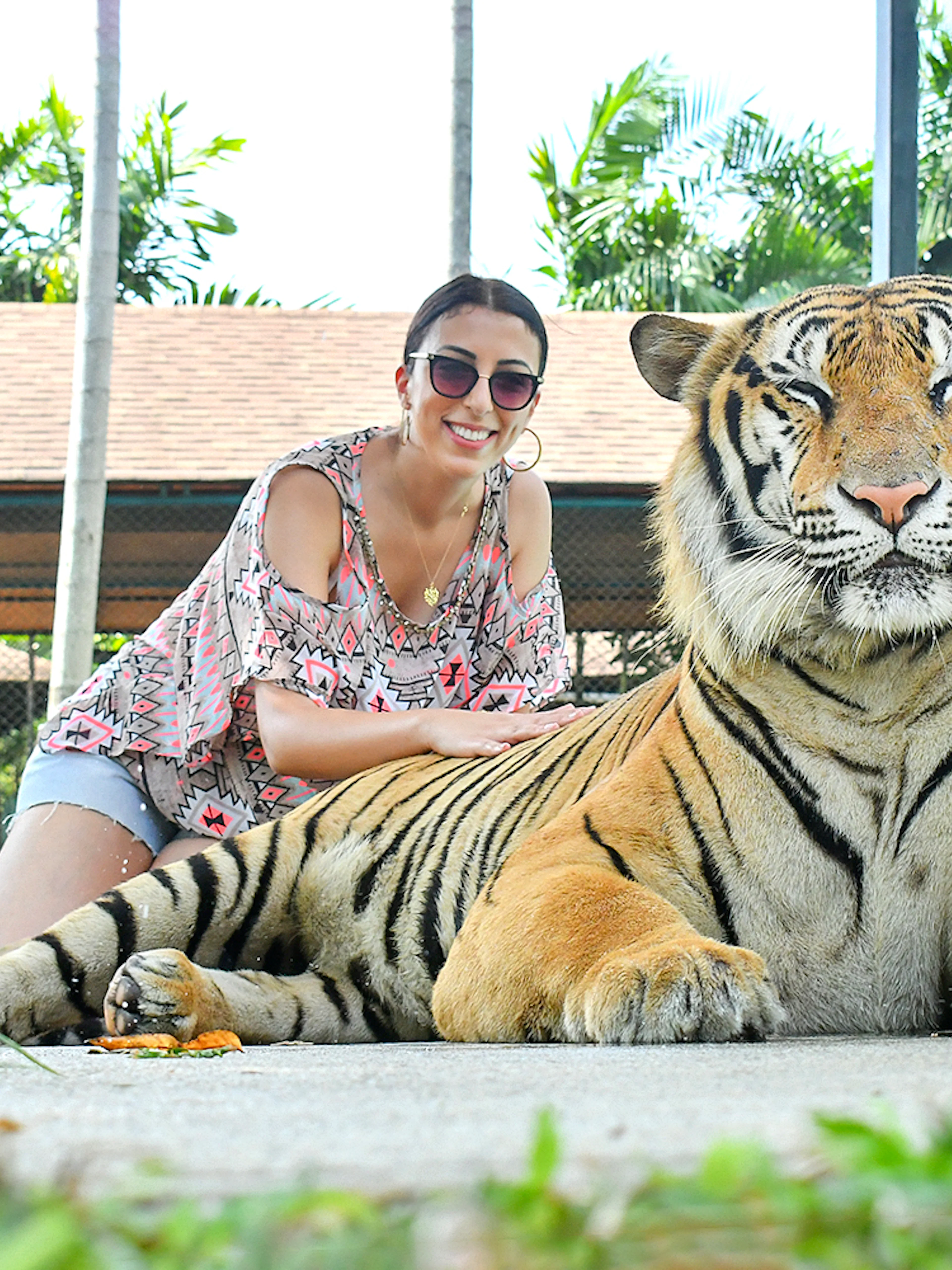 Guest posing with tiger at Tiger Park Phuket.