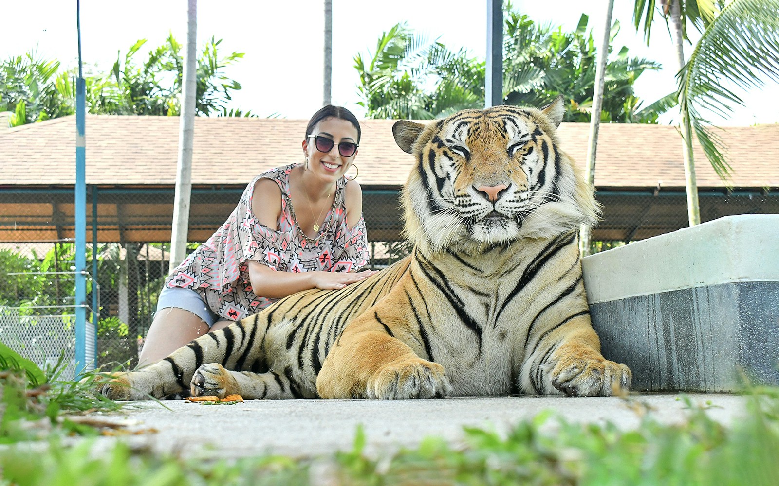 Tiger Park Phuket Tickets