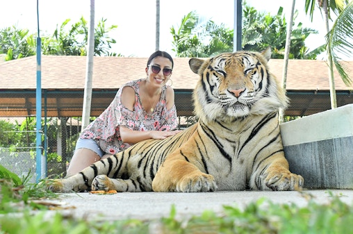 Tickets voor Tiger Park Phuket met tijger-interacties