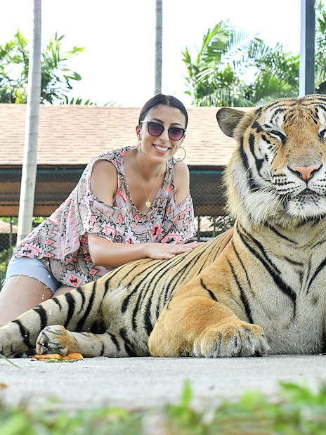 Guest posing with tiger at Tiger Park Phuket.