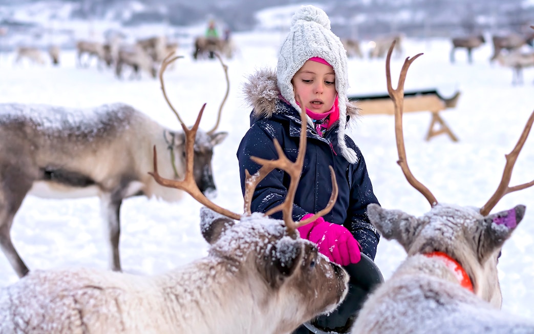 Little girl interacting with reindeer in snowy landscape.