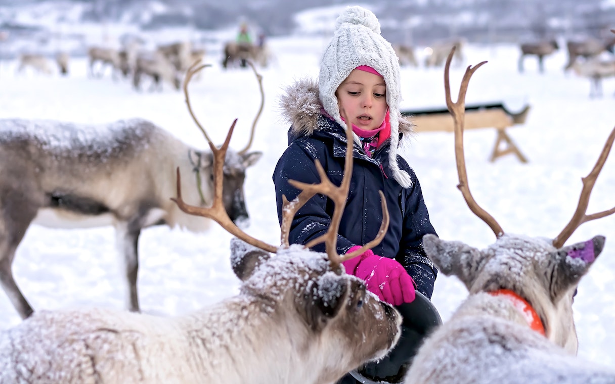 Little girl interacting with reindeer in snowy landscape.