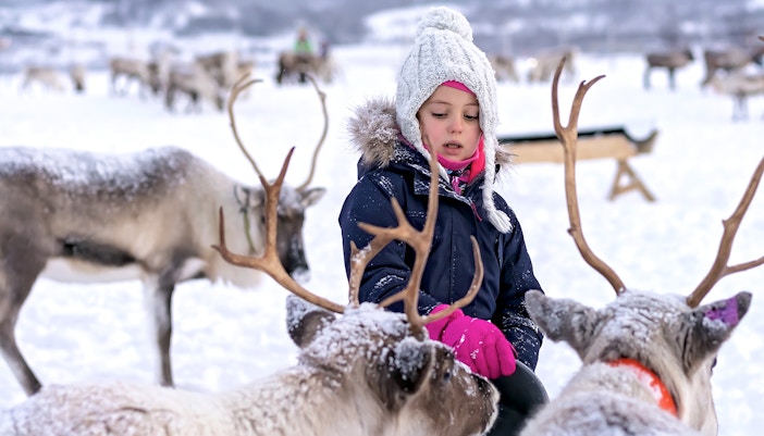 Little girl playing with Reindeers