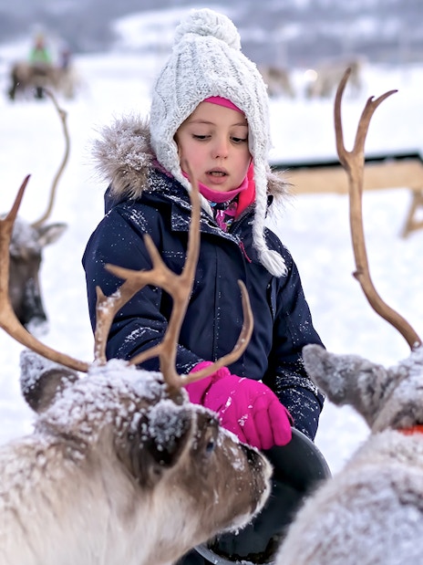 Little girl interacting with reindeer in snowy landscape.