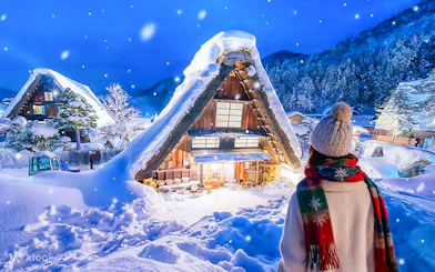 Traditional gassho-style house illuminated in snow, Shirakawa-go, during Nagoya day trip.
