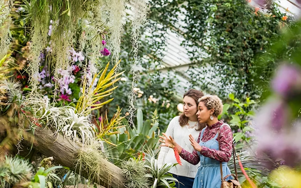Visitors exploring tropical plants inside Kew Gardens greenhouse.