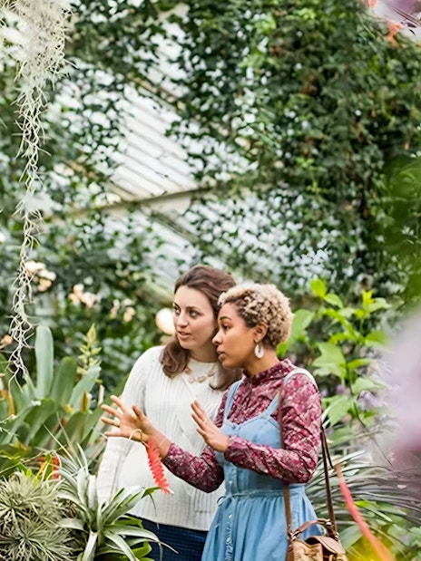 Visitors exploring tropical plants inside Kew Gardens greenhouse.