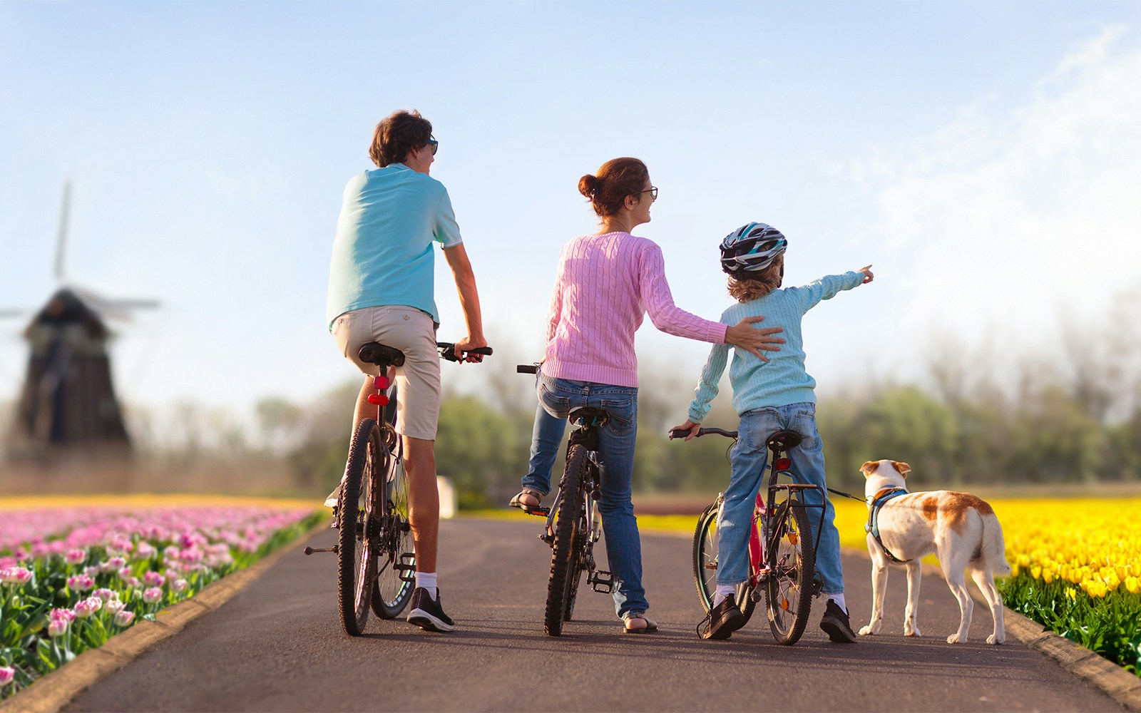 Family cycling through Keukenhof Gardens in Amsterdam with tulip fields and windmill.