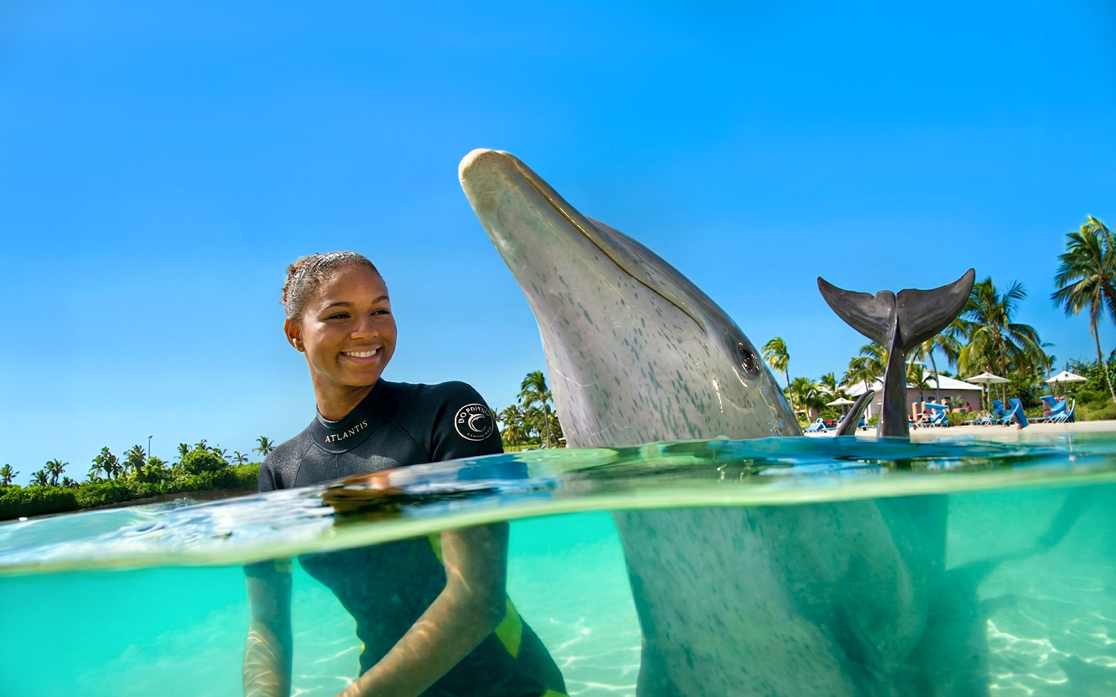 Person interacting with a dolphin at Atlantis Aquaventure, Nassau, Bahamas.