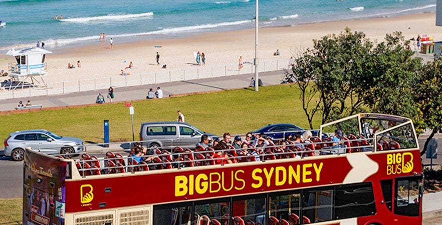 Wycieczki Wskakuj/wyskakuj w Góry Błękitne w Sydney