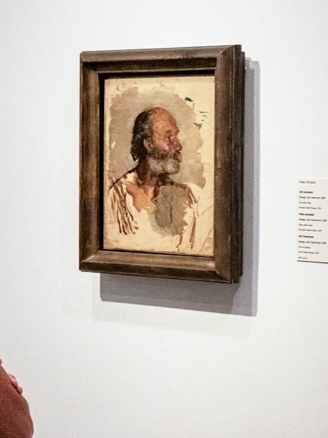 Visitor viewing a Picasso painting at the Picasso Museum during a guided tour.