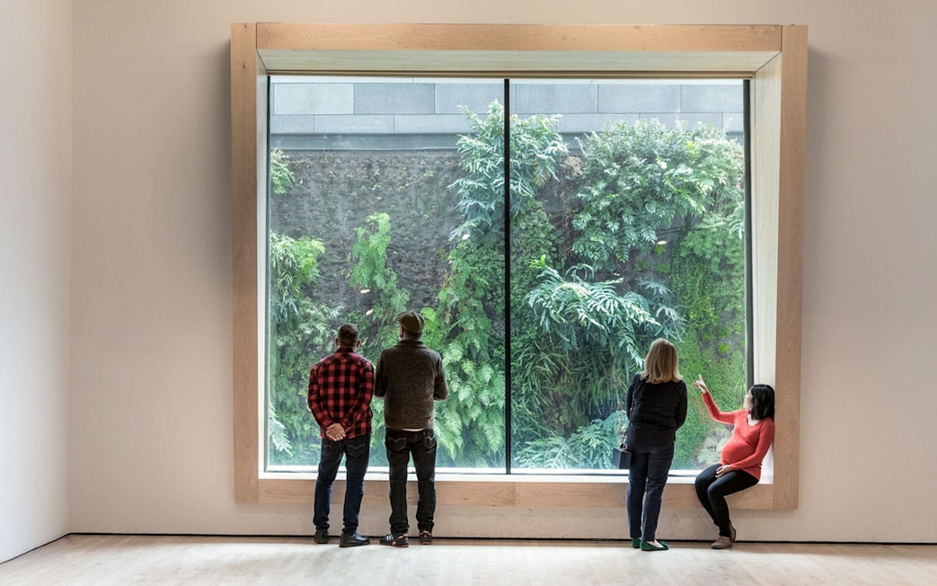 Visitors viewing the living wall at San Francisco Museum of Modern Art.
