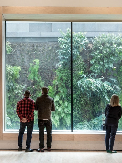 Visitors viewing the living wall at San Francisco Museum of Modern Art.