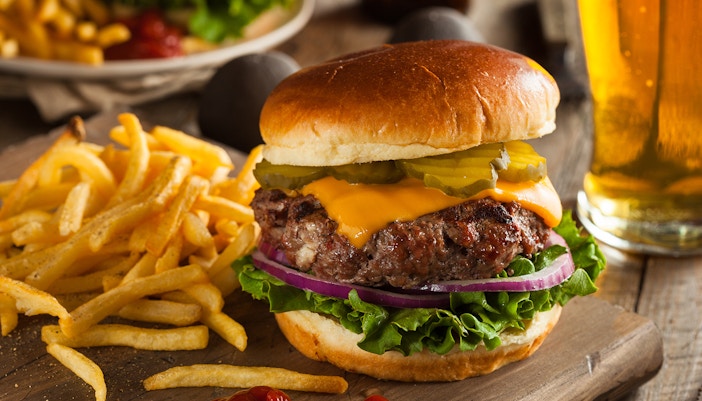 Grass Fed Bison Hamburger