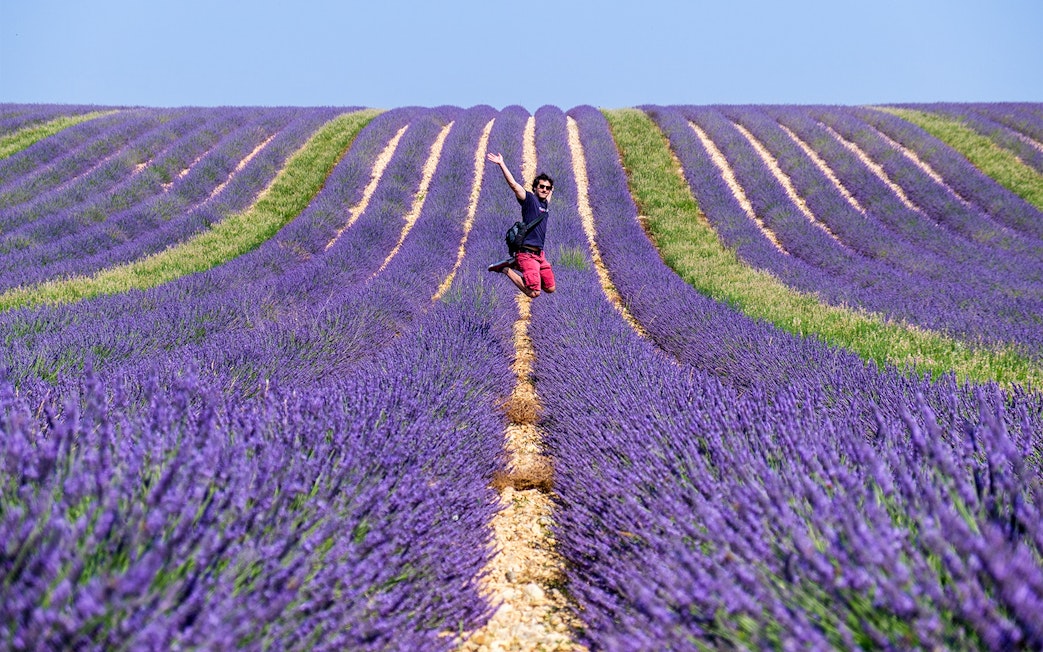 Person jumping in lavender fields near Sault, France, during a full-day tour from Marseille.