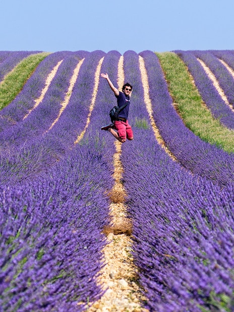 Person jumping in lavender fields near Sault, France, during a full-day tour from Marseille.