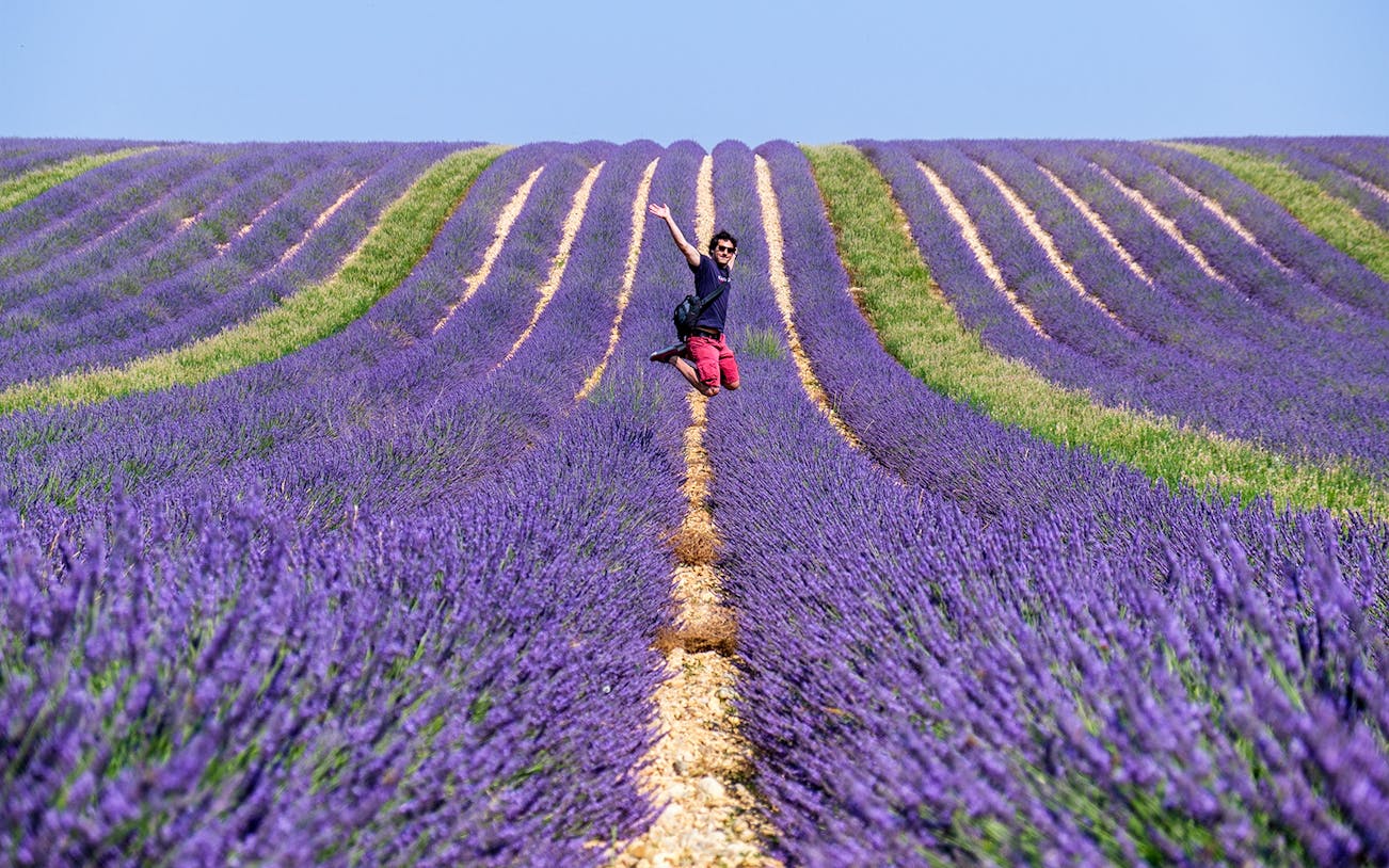 Person jumping in lavender fields near Sault, France, during a full-day tour from Marseille.