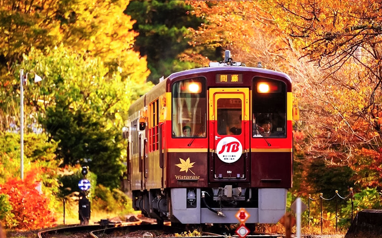 Train traveling through autumn foliage on Kyoto Guided Tour from Osaka, including Arashiyama and Bamboo Grove.