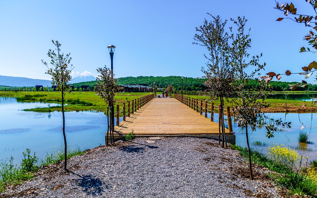 Wooden bridge over Belsh lakes with surrounding greenery and clear sky.