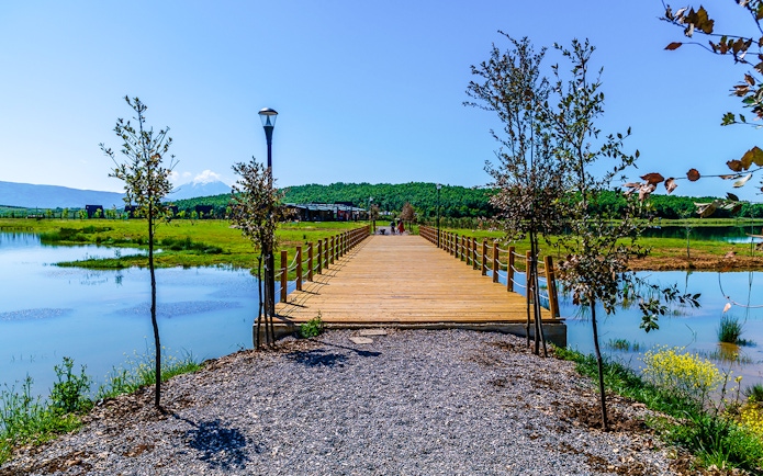 Wooden bridge over Belsh lakes with surrounding greenery and clear sky.